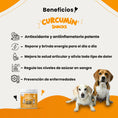 Cargar la imagen en la vista de la galería, Curcumin
