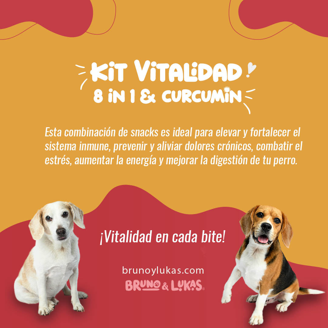 Kit Vitalidad: 8 en 1 + Curcumin