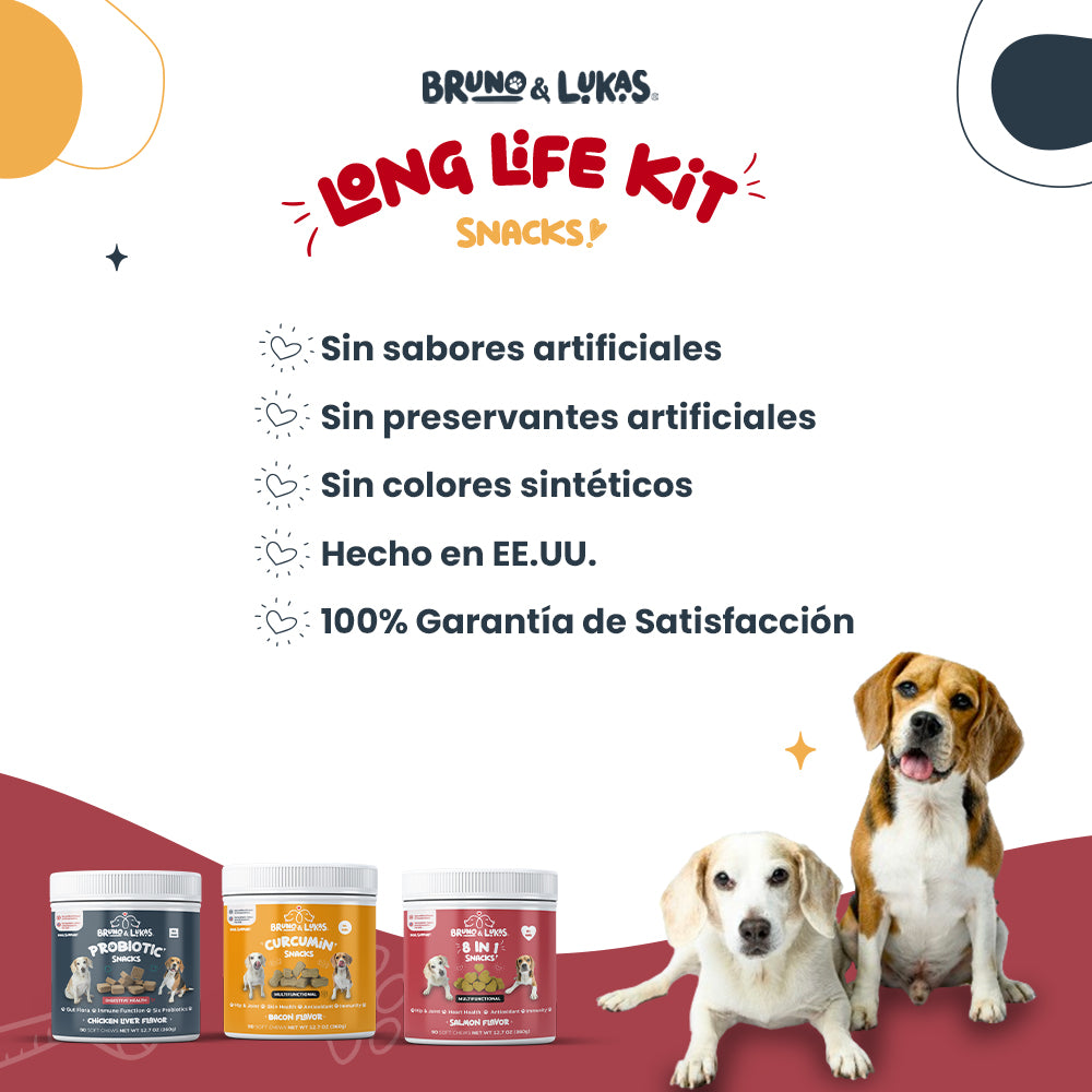 Kit Larga Vida: 8 in 1 + Probiotics + Curcumin