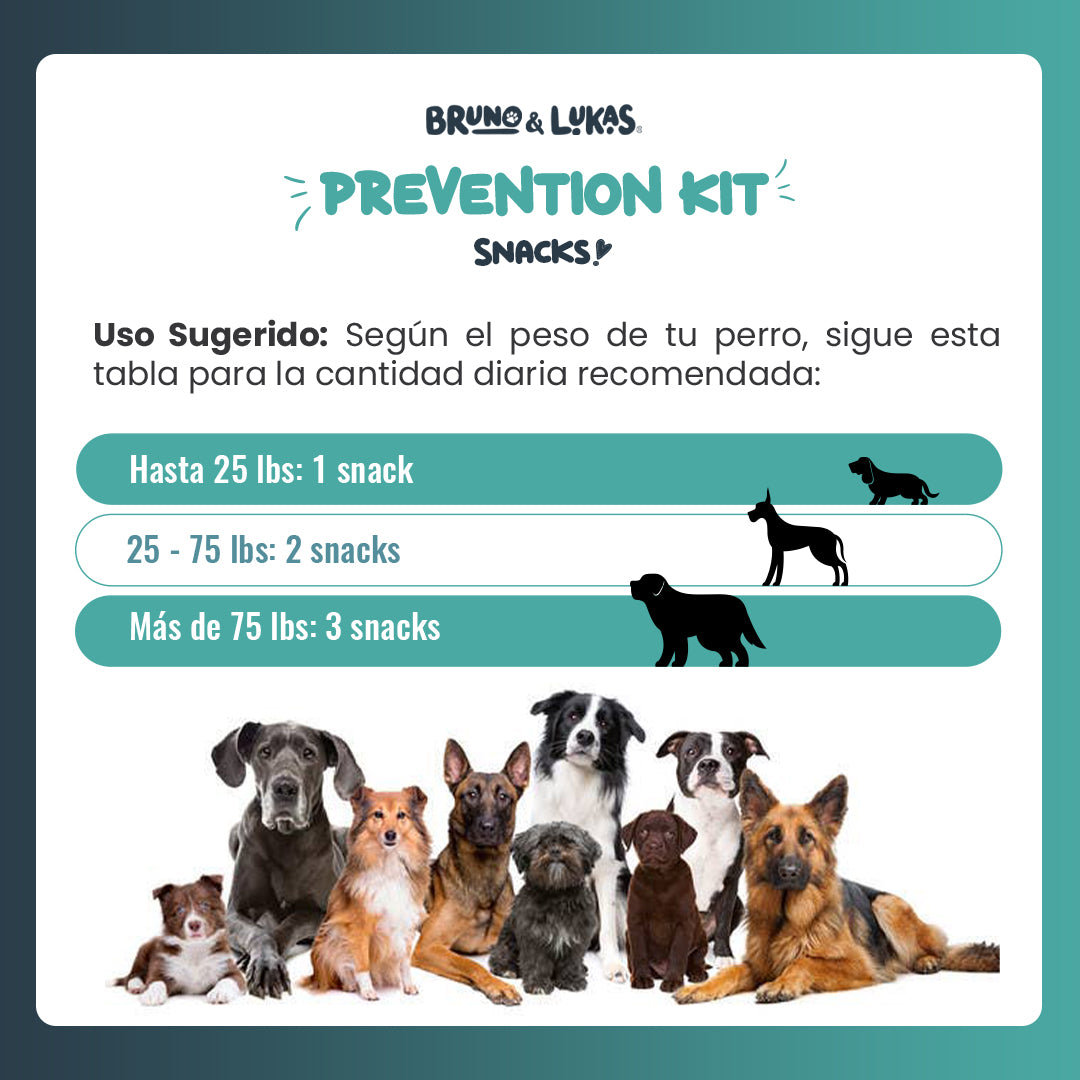 Kit Prevención: Allergy Immune + Probiotics